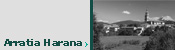 Arratia Harana